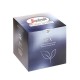 Segafredo Tea in Capsule 
